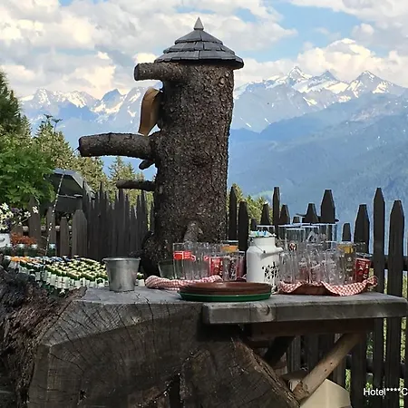 Hotel Hotel Central Gerlos